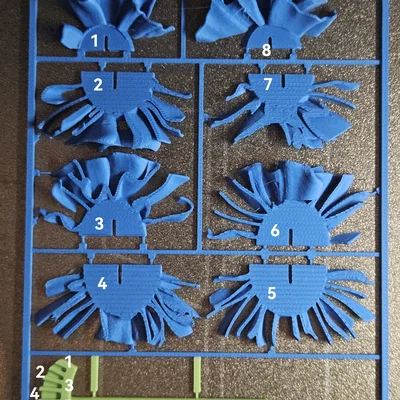 Mô hình 3D Flower kitcard - Hoa cẩm chướng / Nelke