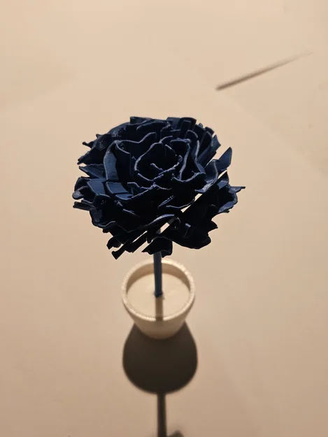 Mô hình 3D Flower kitcard - Hoa cẩm chướng / Nelke - Image 3