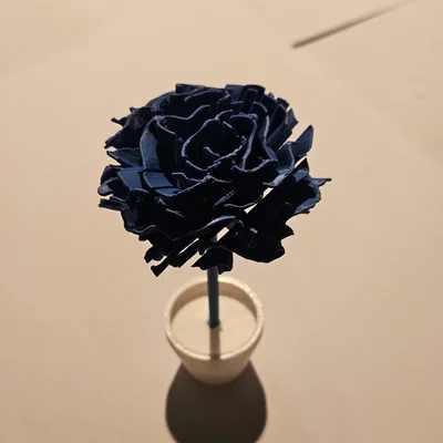 Mô hình 3D Flower kitcard - Hoa cẩm chướng / Nelke