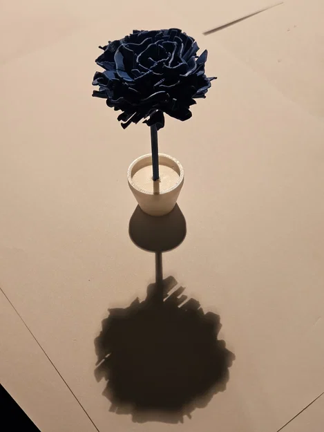 Mô hình 3D Flower kitcard - Hoa cẩm chướng / Nelke - Image 5
