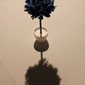 Mô hình 3D Flower kitcard - Hoa cẩm chướng / Nelke - Thumbnail 5