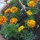 studiojamesc_1203156