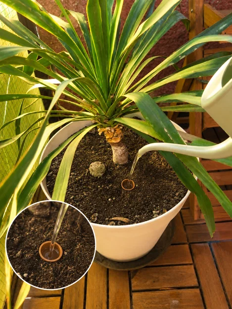 Dụng cụ tưới gốc cho vườn và ban công - Image 4