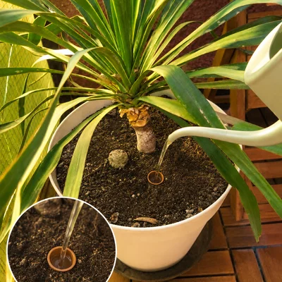 Dụng cụ tưới gốc cho vườn và ban công