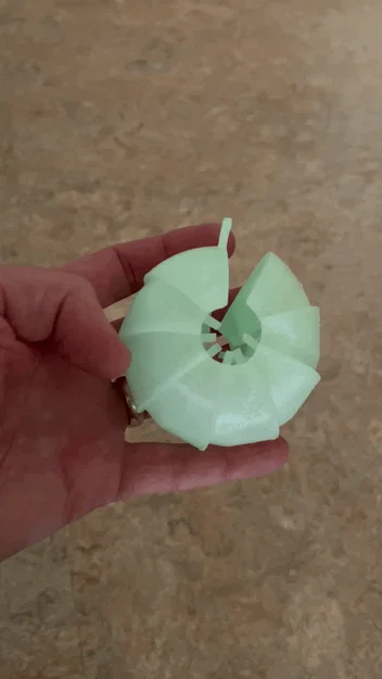 Mô hình con cuốn chiếu (Pillbug) có khớp nối siêu đáng yêu - Image 3