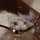 KitCrafters_1283485