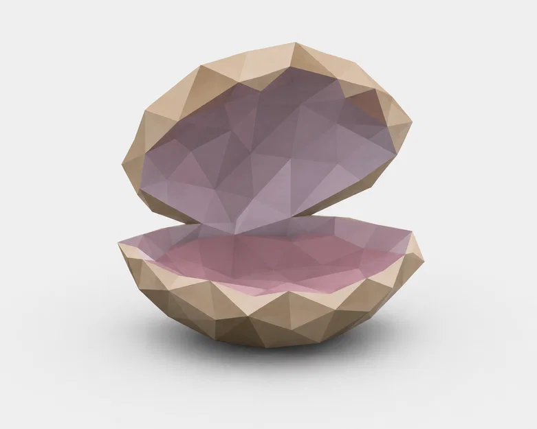 Mô hình Vỏ Sò Low Poly trang trí để bàn - File in 3D độc đáo - Image 2