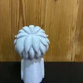 Moai Einstein - Sự kết hợp độc đáo giữa trí tuệ và nghệ thuật - Thumbnail 5