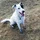Levi_3422641