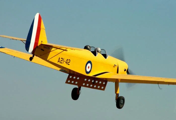 Bộ phận Flap in 3D cho mô hình de Havilland DH.94 Moth Minor - Image 1