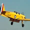 Bộ phận Flap in 3D cho mô hình de Havilland DH.94 Moth Minor - Thumbnail 1