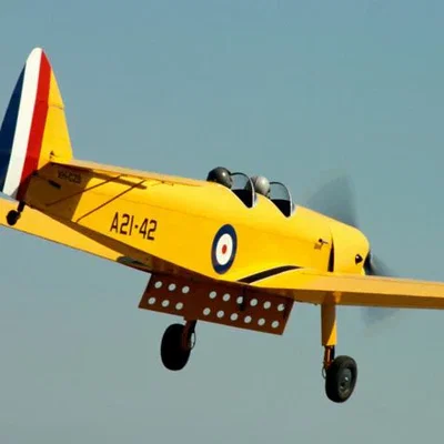 Bộ phận Flap in 3D cho mô hình de Havilland DH.94 Moth Minor