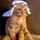 NerminZ_698276