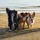 Fish_89_4596939
