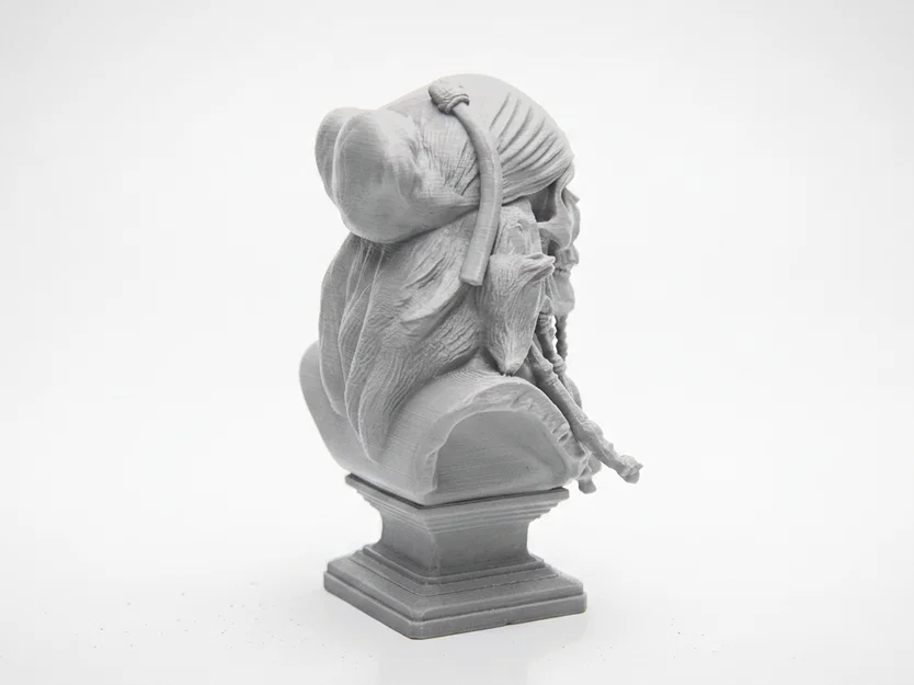 Mô hình 3D Đầu Lâu Cướp Biển Jack Sparrow - Image 3
