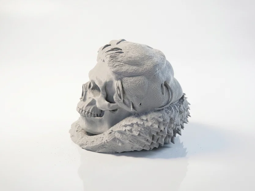 Mô hình đầu lâu Jon Snow phong cách Gothic in 3D - Image 4