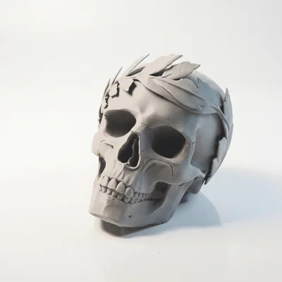 Mô hình 3D Hộp Sọ Hoàng Đế Julius Caesar - Tuyệt tác Điêu khắc La Mã