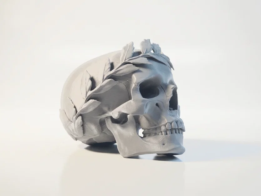 Mô hình 3D Hộp Sọ Hoàng Đế Julius Caesar - Tuyệt tác Điêu khắc La Mã - Image 2