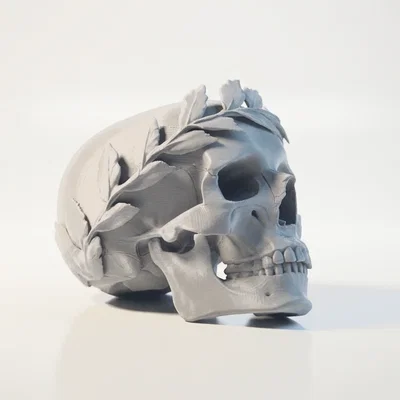 Mô hình 3D Hộp Sọ Hoàng Đế Julius Caesar - Tuyệt tác Điêu khắc La Mã