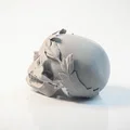 Mô hình 3D Hộp Sọ Hoàng Đế Julius Caesar - Tuyệt tác Điêu khắc La Mã - Thumbnail 4
