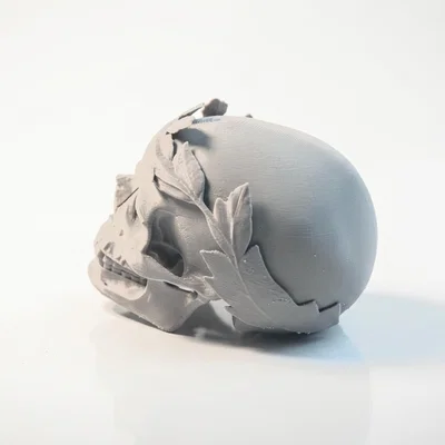 Mô hình 3D Hộp Sọ Hoàng Đế Julius Caesar - Tuyệt tác Điêu khắc La Mã