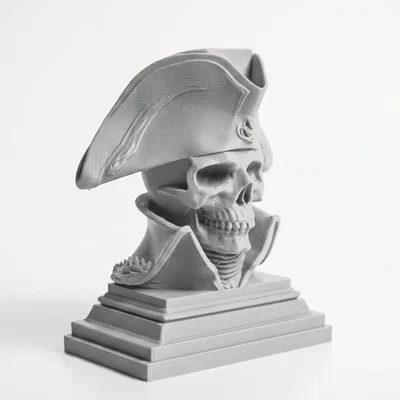 Tượng bán thân đầu lâu hải tặc Napoleon - Mô hình in 3D