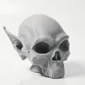 Mô hình 3D hộp sọ Nosferatu phong cách Gothic kinh dị - Thumbnail 1