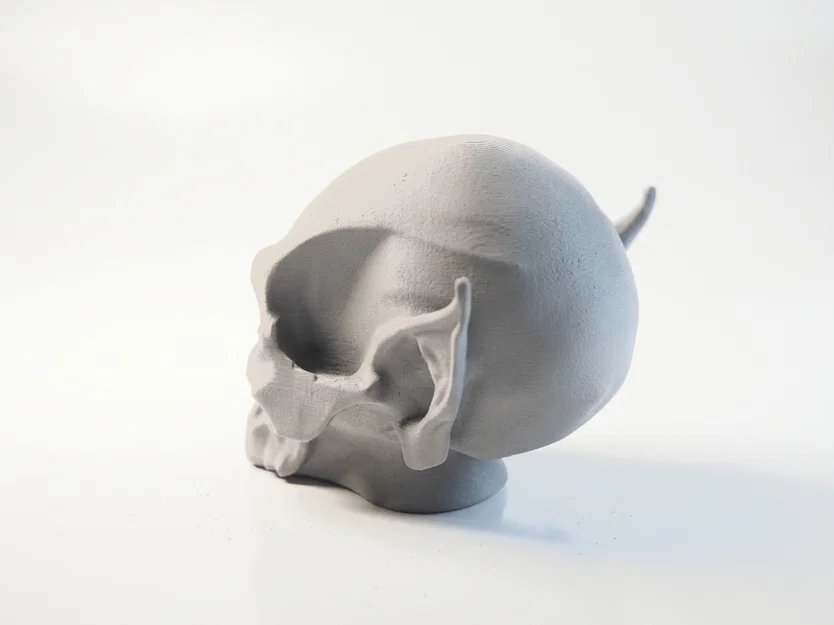 Mô hình 3D hộp sọ Nosferatu phong cách Gothic kinh dị - Image 2