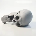 Mô hình 3D Lâu đài Đầu lâu phong cách Gothic đầy ấn tượng - Thumbnail 1