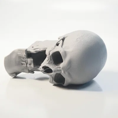 Mô hình 3D Lâu đài Đầu lâu phong cách Gothic đầy ấn tượng