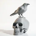 Tượng Điêu Khắc Hộp Sọ Chim Phong Cách Gothic In 3D - Thumbnail 1