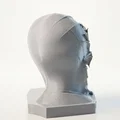 Mô hình đầu lâu Spiderman - File in 3D sưu tầm độc đáo - Thumbnail 3