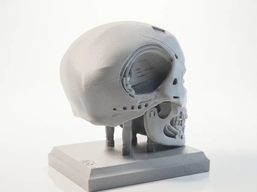 Mô hình 3D in ấn: Hộp sọ người máy Terminator Cyborg - Image 3