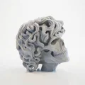 Mô hình 3D đầu lâu Tyrion Lannister - Tượng trang trí chất lượng cao - Thumbnail 1