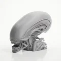 Mô hình điêu khắc 3D Xenomorph Skull đầy kinh dị - Thumbnail 1
