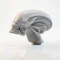 Mô hình điêu khắc đầu lâu Xenomorph Alien in 3D - Thumbnail 1