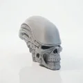 Mô hình điêu khắc hộp sọ Xenomorph in 3D - Thumbnail 3