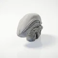 Mô hình điêu khắc hộp sọ Xenomorph in 3D - Thumbnail 4