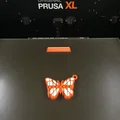 Mô hình Bướm Flexi (Flexi Butterfly) - Thumbnail 3
