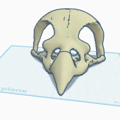 Mô hình 3D mặt nạ đầu lâu quạ (Crow Skull Mask) cho chó cưng