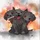 jasonmakes_306966