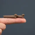 Mô hình chú chó xúc xích mini dễ thương - Thumbnail 1