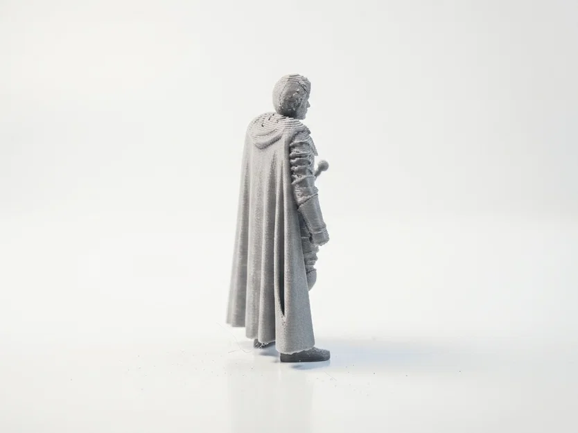 Mô hình in 3D Brienne Of Tarth - Game of Thrones - Image 3