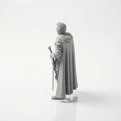 Mô hình in 3D Brienne Of Tarth - Game of Thrones