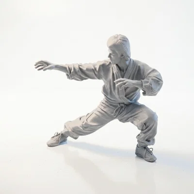Mô hình 3D Bruce Lee - Võ sĩ huyền thoại in ấn được