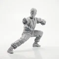 Mô hình 3D Bruce Lee - Võ sĩ huyền thoại in ấn được - Thumbnail 2