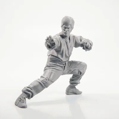 Mô hình 3D Bruce Lee - Võ sĩ huyền thoại in ấn được