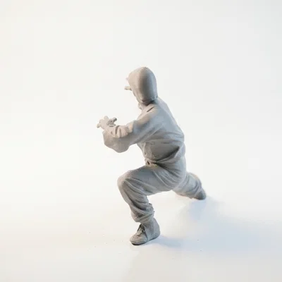 Mô hình 3D Bruce Lee - Võ sĩ huyền thoại in ấn được