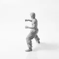 Mô hình 3D Bruce Lee - Tượng sưu tầm nhân vật điện ảnh - Thumbnail 4