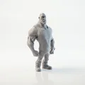 Mô hình in 3D Dwayne Johnson (The Rock) - Phim & Truyền hình - Thumbnail 2